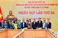 Hanel PT Joins Task Force IV in Submitting Proposals at the Review Meeting on the Implementation of Resolution No. 68-NQ/TW, Chaired by Prime Minister Phạm Minh Chính